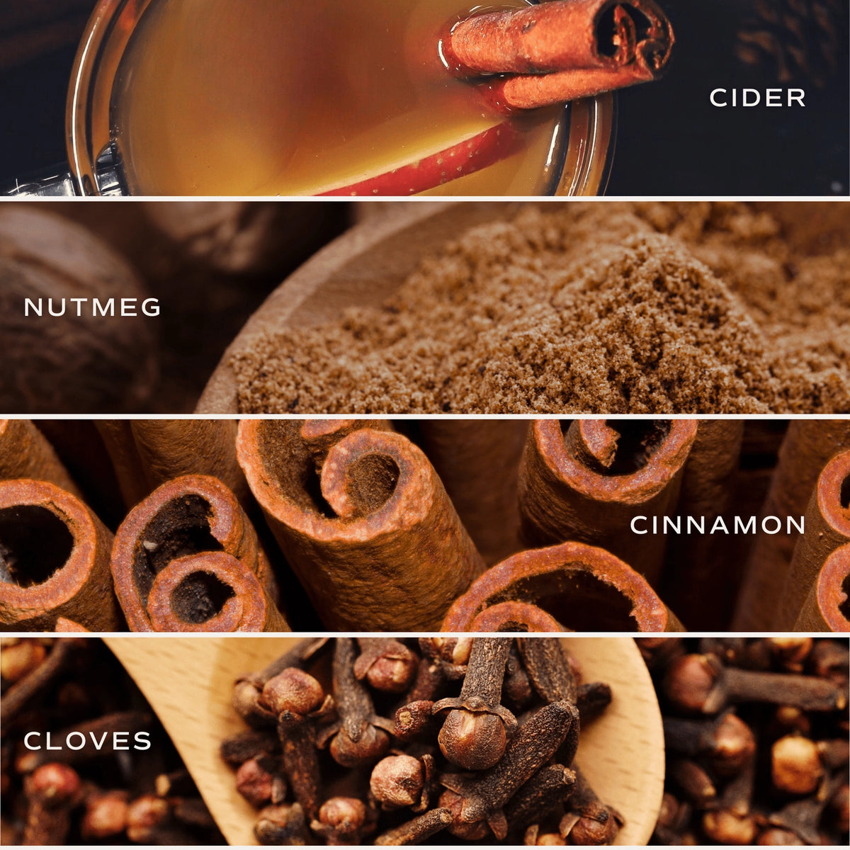 A four-panel collage showing warm spices and ingredients: a glass of amber cider with a cinnamon stick, a wooden bowl of brown nutmeg powder, cinnamon sticks, and cloves in a wooden spoon, with labels reading CIDER, NUTMEG, CINNAMON, and CLOVES.