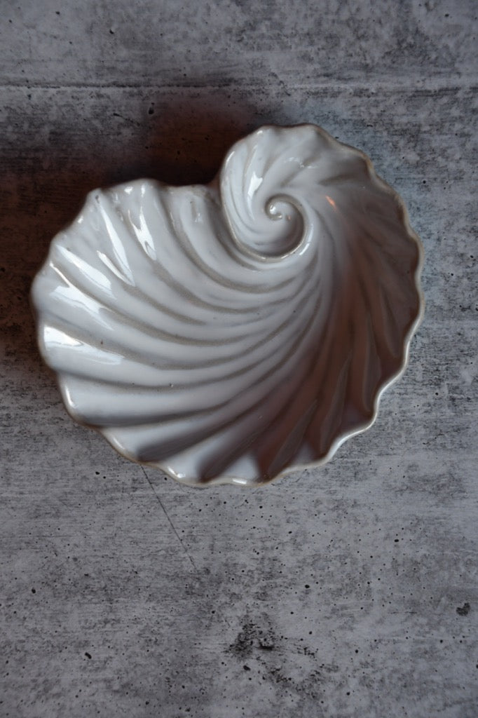White ceramic shell on a gray concrete surface