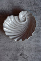 White ceramic shell on a gray concrete surface